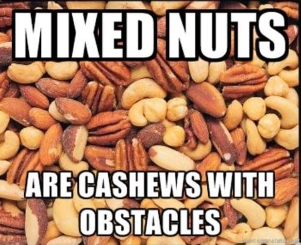 Nut Quotes Nut Sayings Nut Picture Quotes