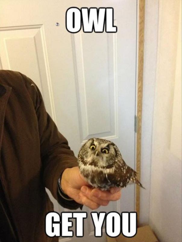 Owl get you Picture Quote #1