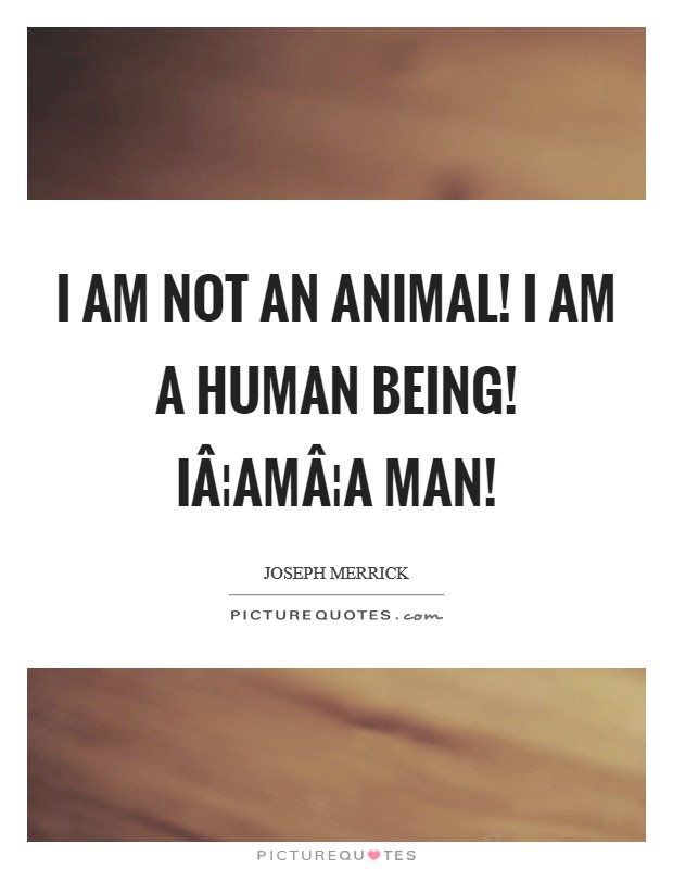 I am not an animal! I am a human being! IÂ¦amÂ¦a man! Picture Quote #1