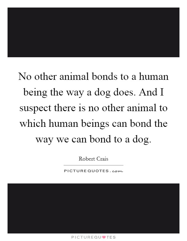 No other animal bonds to a human being the way a dog does. And I suspect there is no other animal to which human beings can bond the way we can bond to a dog. Picture Quote #1