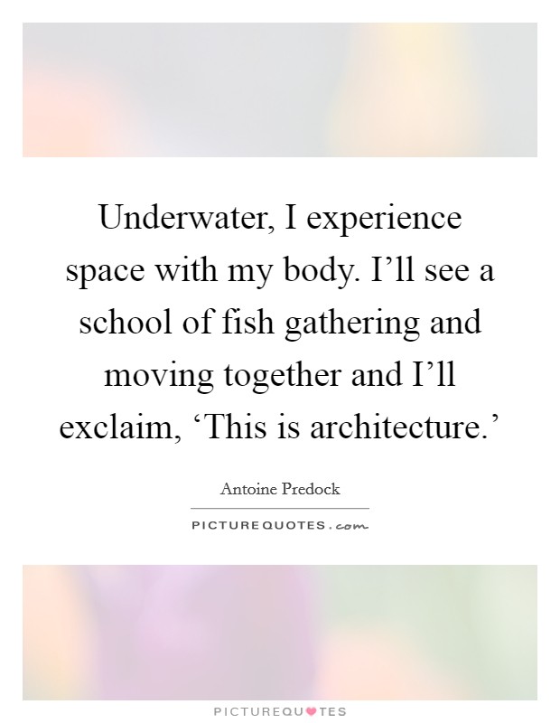Underwater, I experience space with my body. I’ll see a school of fish gathering and moving together and I’ll exclaim, ‘This is architecture.’ Picture Quote #1