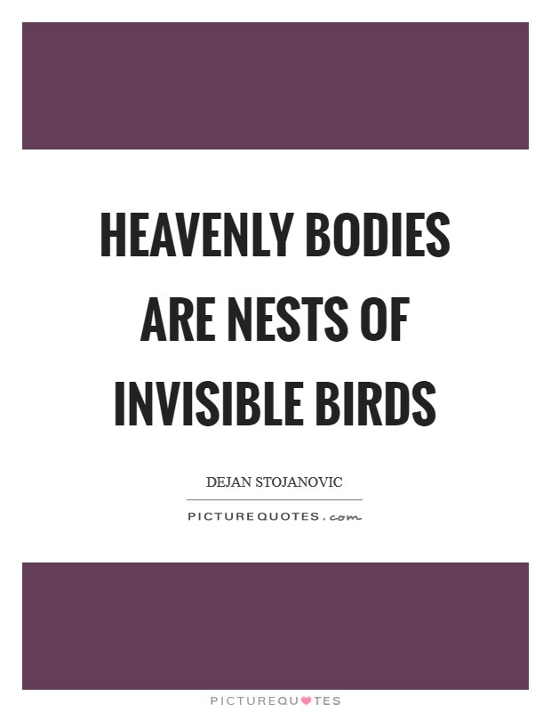 Heavenly bodies are nests of invisible birds Picture Quote #1