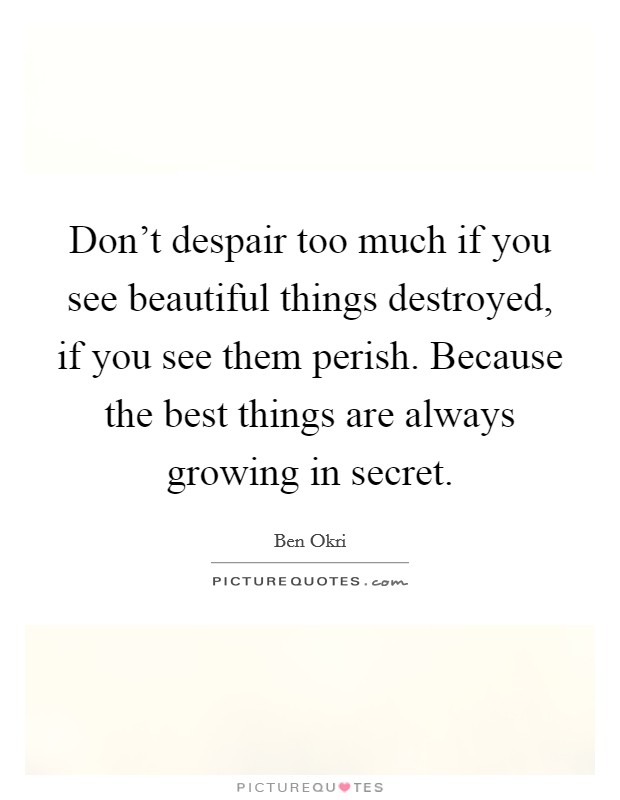 Don’t despair too much if you see beautiful things destroyed, if you see them perish. Because the best things are always growing in secret Picture Quote #1
