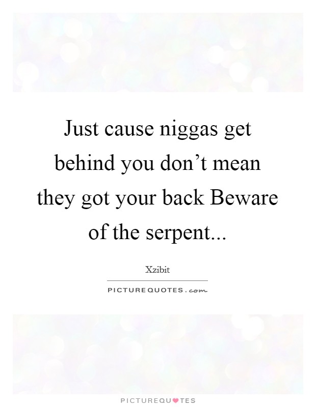Just cause niggas get behind you don’t mean they got your back Beware of the serpent Picture Quote #1