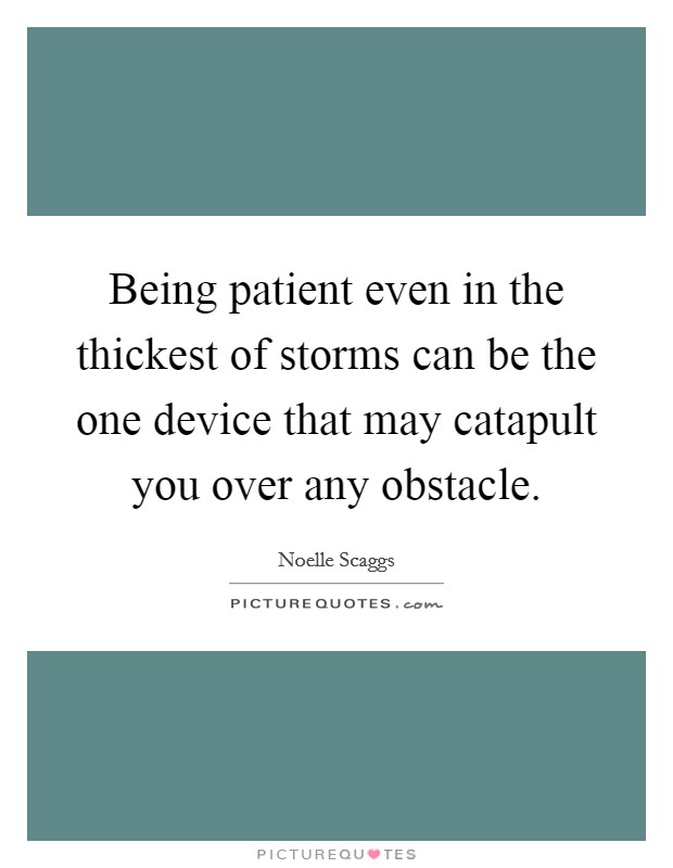 Being patient even in the thickest of storms can be the one device that may catapult you over any obstacle Picture Quote #1