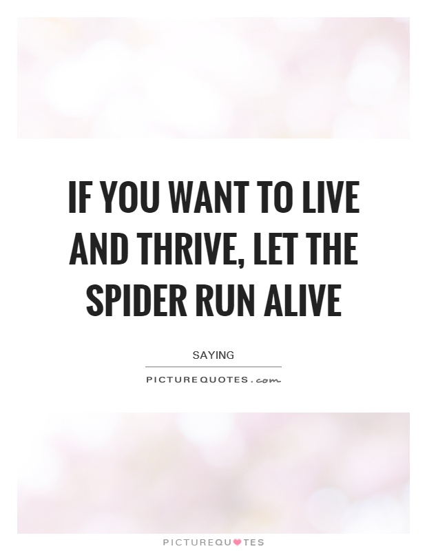 If you want to live and thrive, let the spider run alive Picture Quote #1