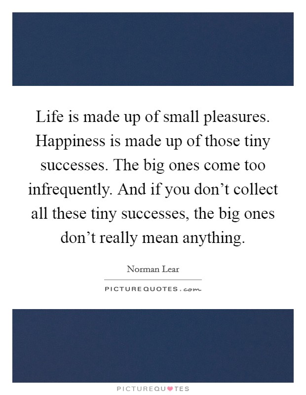 Life is made up of small pleasures. Happiness is made up of those tiny successes. The big ones come too infrequently. And if you don't collect all these tiny successes, the big ones don't really mean anything. Picture Quote #1