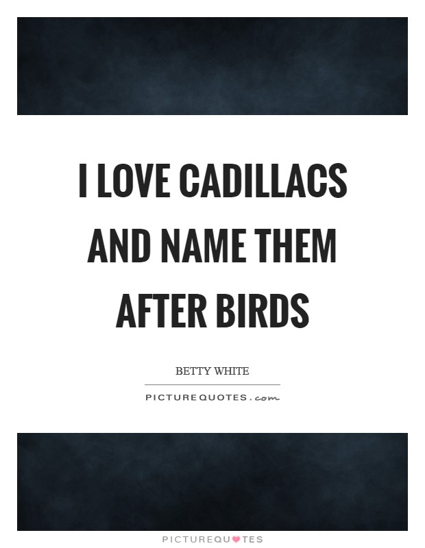 I love Cadillacs and name them after birds Picture Quote #1