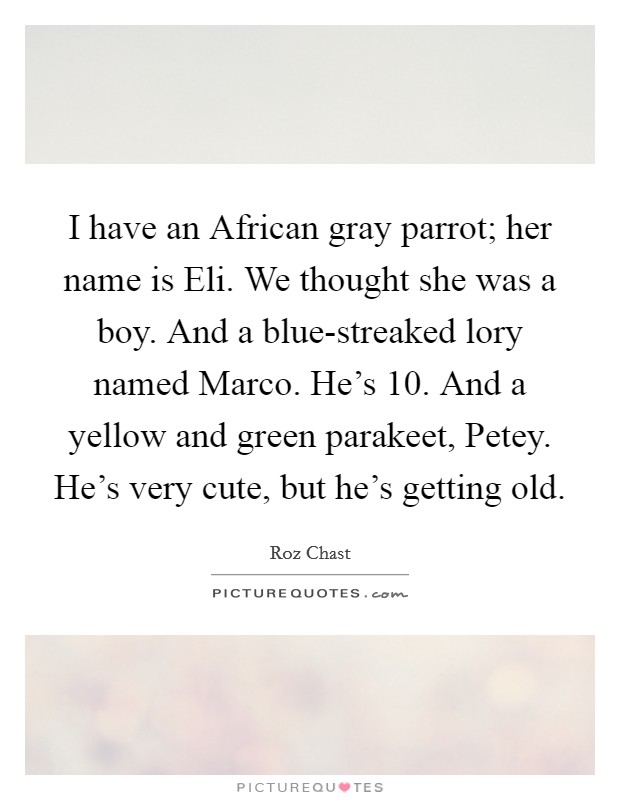 I have an African gray parrot; her name is Eli. We thought she was a boy. And a blue-streaked lory named Marco. He's 10. And a yellow and green parakeet, Petey. He's very cute, but he's getting old. Picture Quote #1