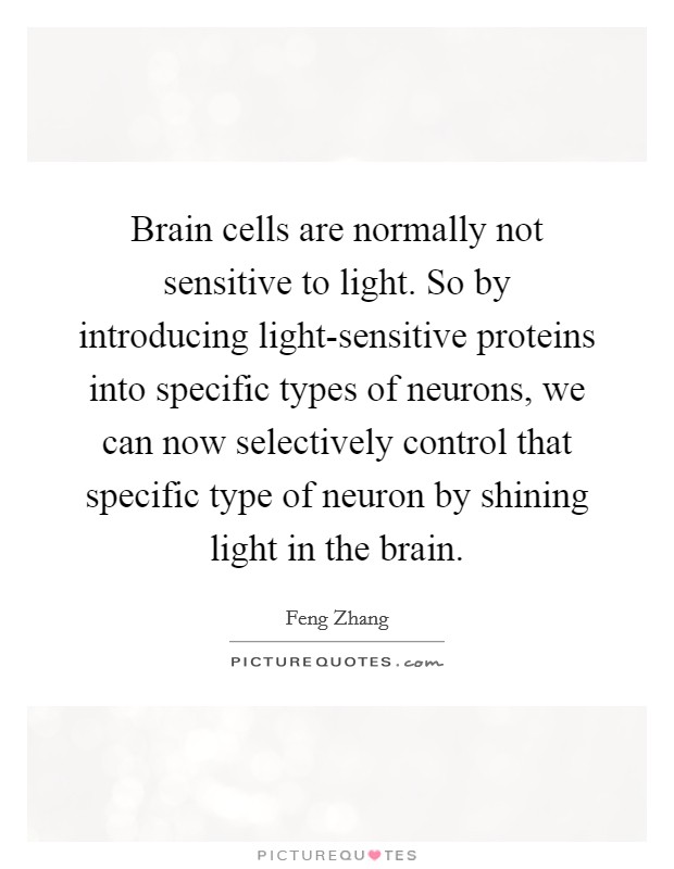 Brain cells are normally not sensitive to light. So by introducing light-sensitive proteins into specific types of neurons, we can now selectively control that specific type of neuron by shining light in the brain Picture Quote #1