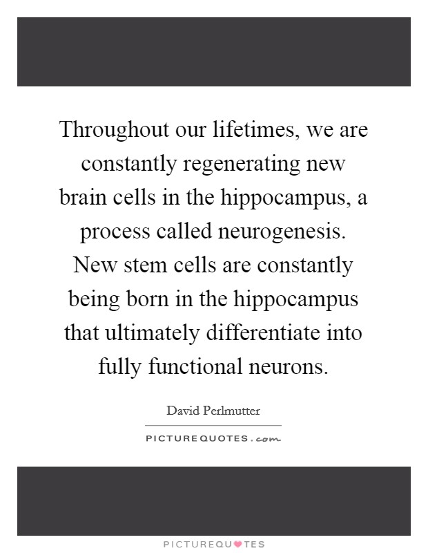 Throughout our lifetimes, we are constantly regenerating new brain cells in the hippocampus, a process called neurogenesis. New stem cells are constantly being born in the hippocampus that ultimately differentiate into fully functional neurons Picture Quote #1