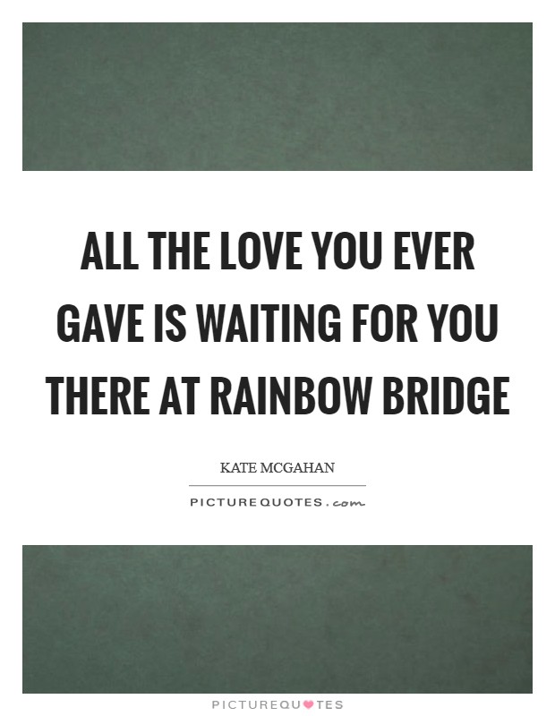 All the love you ever gave is waiting for you there at Rainbow Bridge Picture Quote #1