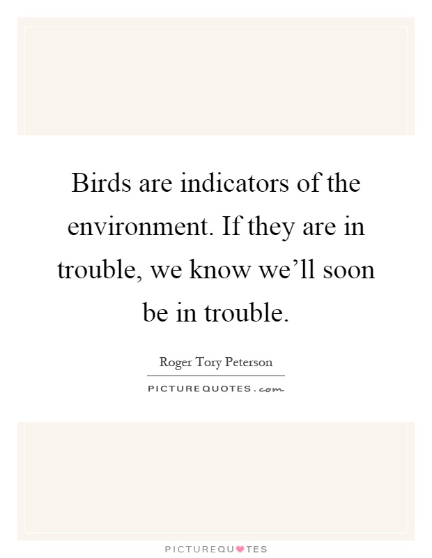Birds are indicators of the environment. If they are in trouble, we know we’ll soon be in trouble Picture Quote #1