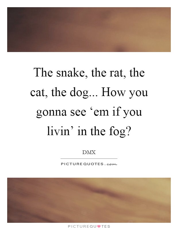 The snake, the rat, the cat, the dog... How you gonna see ‘em if you livin’ in the fog? Picture Quote #1