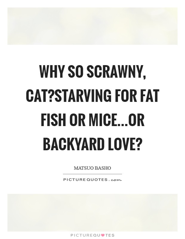 Why so scrawny, cat?Starving for fat fish or mice...Or backyard love? Picture Quote #1