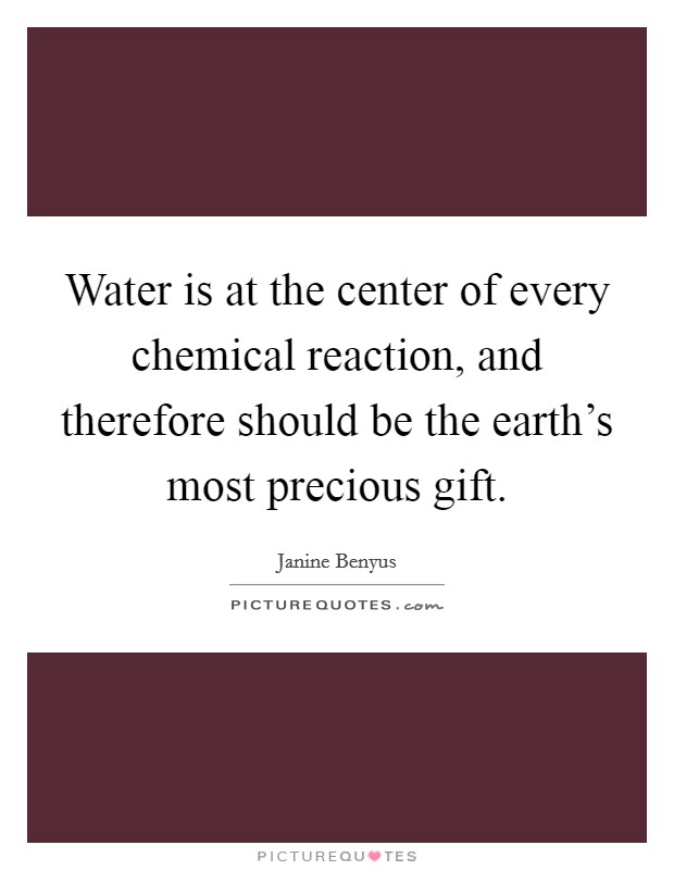 Water is at the center of every chemical reaction, and therefore should be the earth’s most precious gift Picture Quote #1