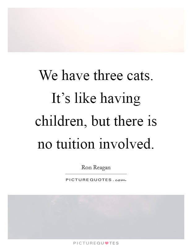 We have three cats. It's like having children, but there is no tuition involved. Picture Quote #1