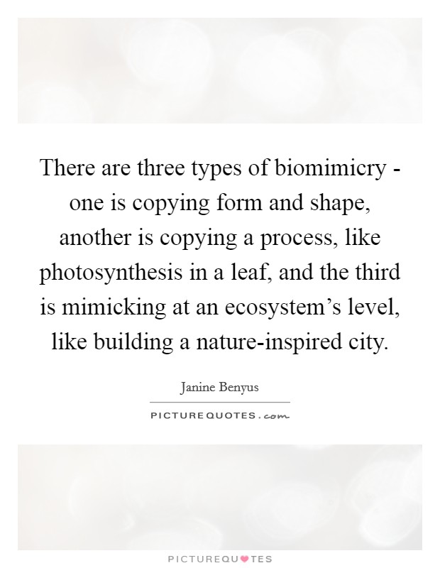 There are three types of biomimicry - one is copying form and shape, another is copying a process, like photosynthesis in a leaf, and the third is mimicking at an ecosystem's level, like building a nature-inspired city. Picture Quote #1