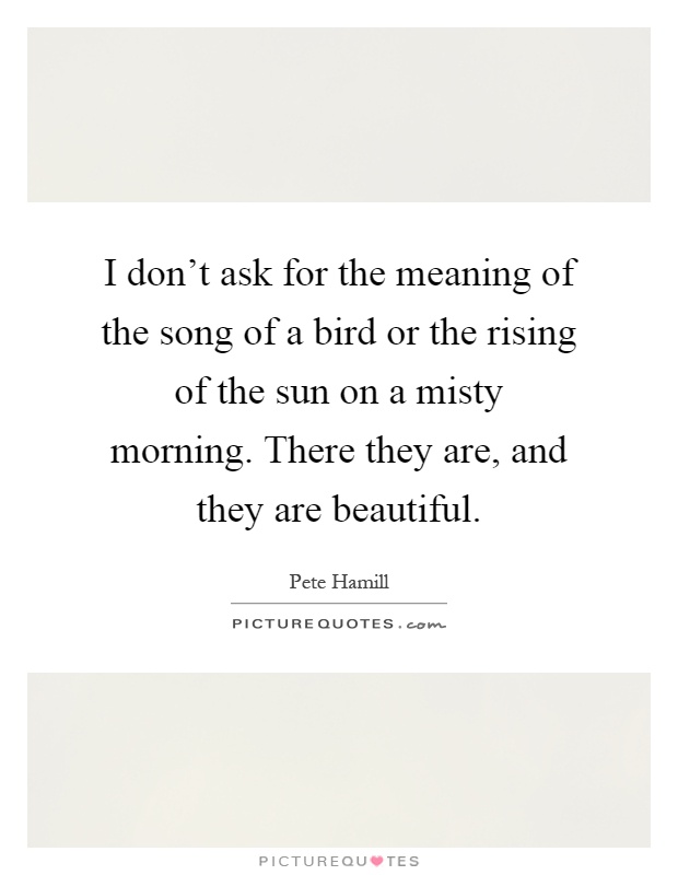 I don’t ask for the meaning of the song of a bird or the rising of the sun on a misty morning. There they are, and they are beautiful Picture Quote #1