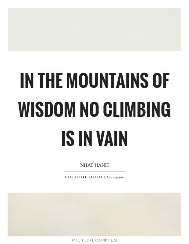 In the mountains of wisdom no climbing is in vain Picture Quote #1
