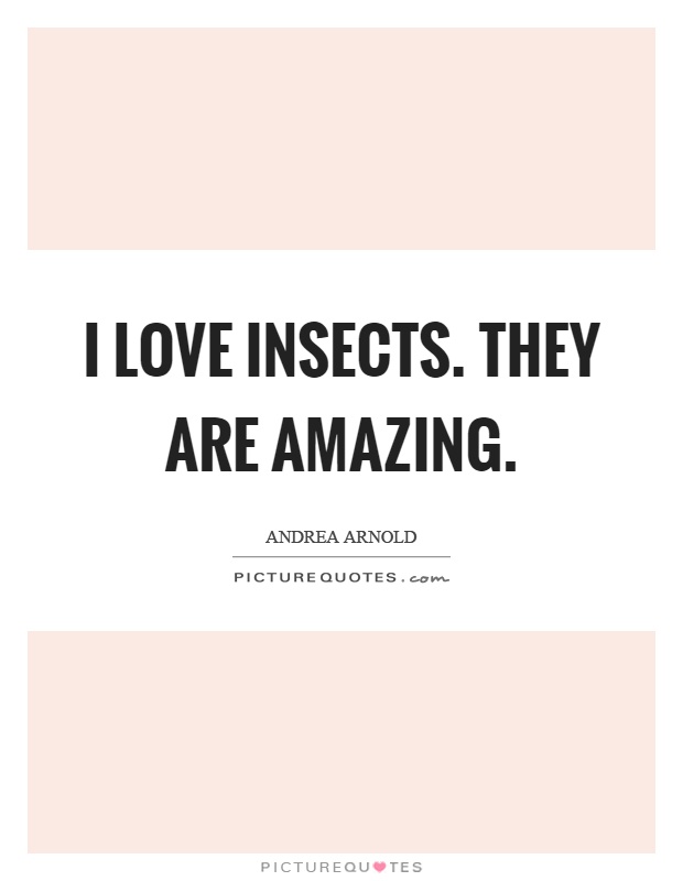 I love insects. They are amazing Picture Quote #1