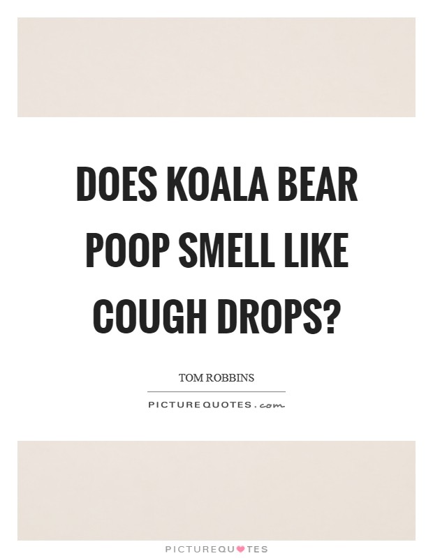 Does koala bear poop smell like cough drops? Picture Quote #1