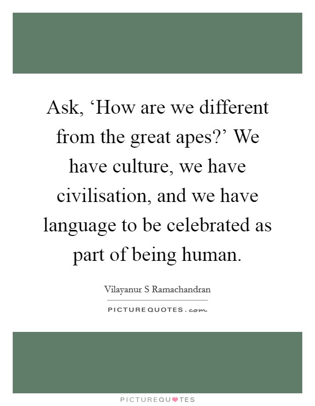 Ask, ‘How are we different from the great apes?' We have culture, we have civilisation, and we have language to be celebrated as part of being human. Picture Quote #1