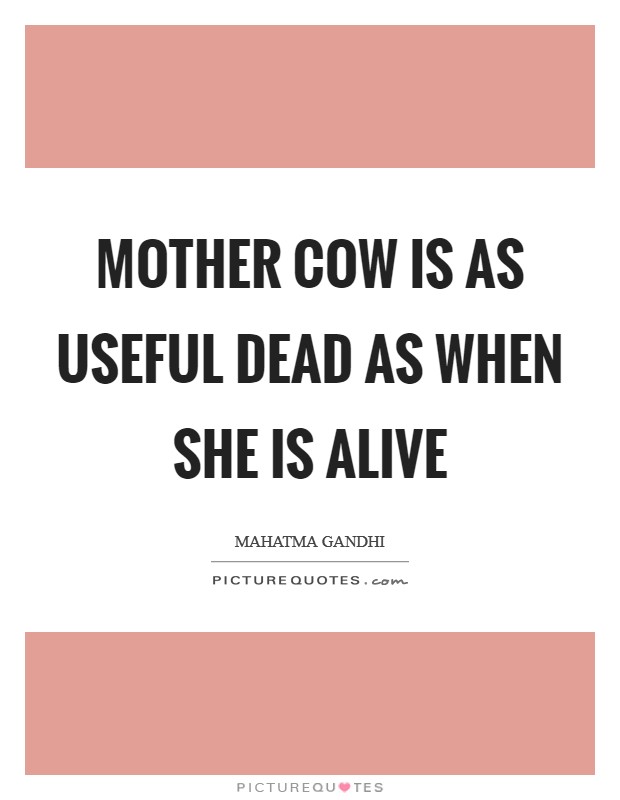 Mother cow is as useful dead as when she is alive Picture Quote #1