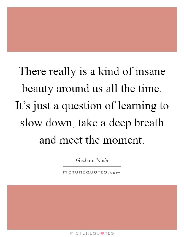 There really is a kind of insane beauty around us all the time. It’s just a question of learning to slow down, take a deep breath and meet the moment Picture Quote #1