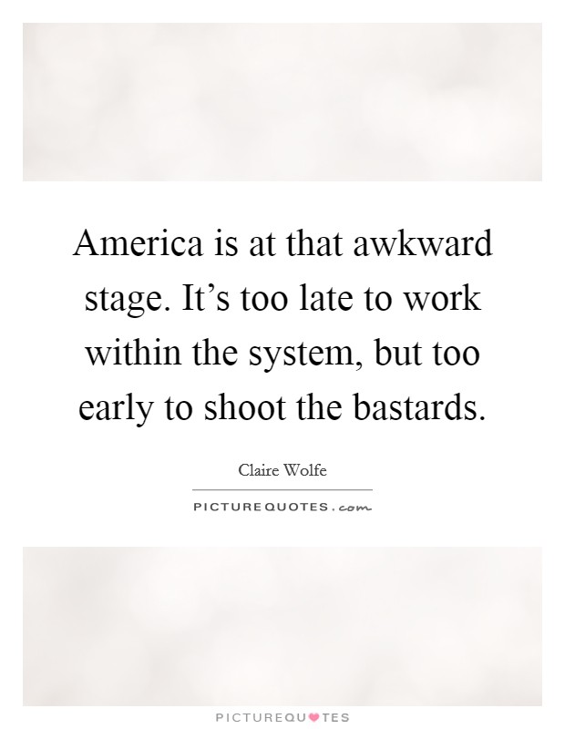 America is at that awkward stage. It's too late to work within the system, but too early to shoot the bastards. Picture Quote #1