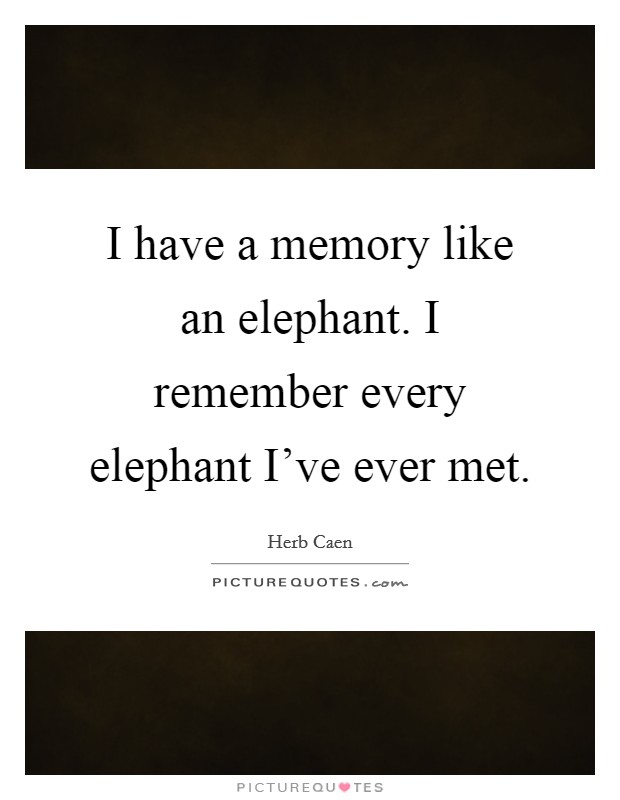 I have a memory like an elephant. I remember every elephant I've ever met. Picture Quote #1