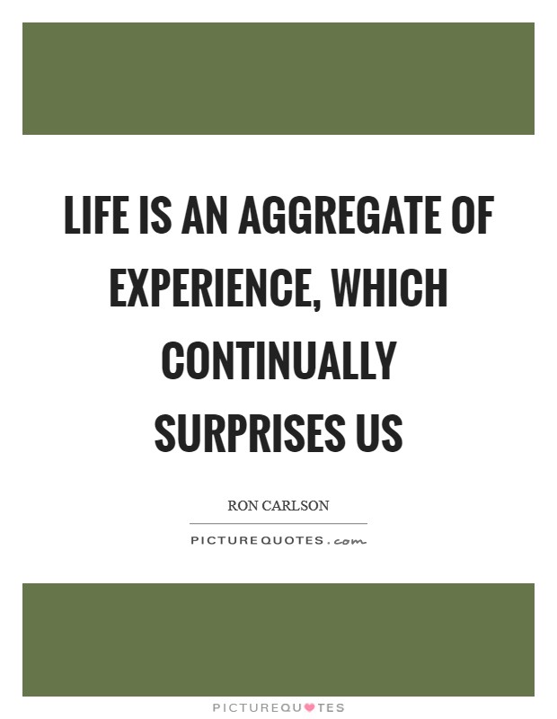Life is an aggregate of experience, which continually surprises us Picture Quote #1