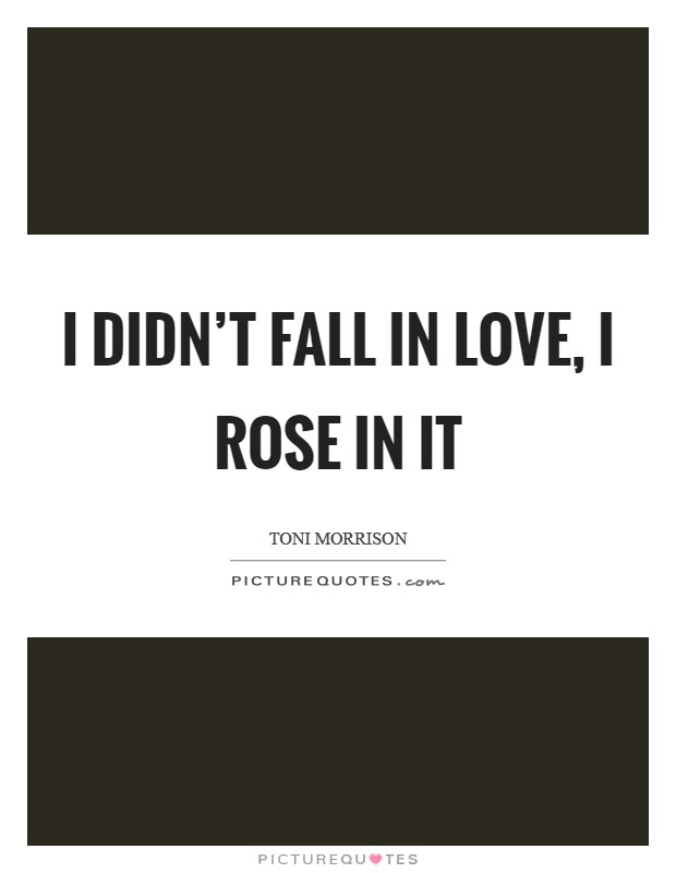 I didn't fall in love, I rose in it Picture Quote #1