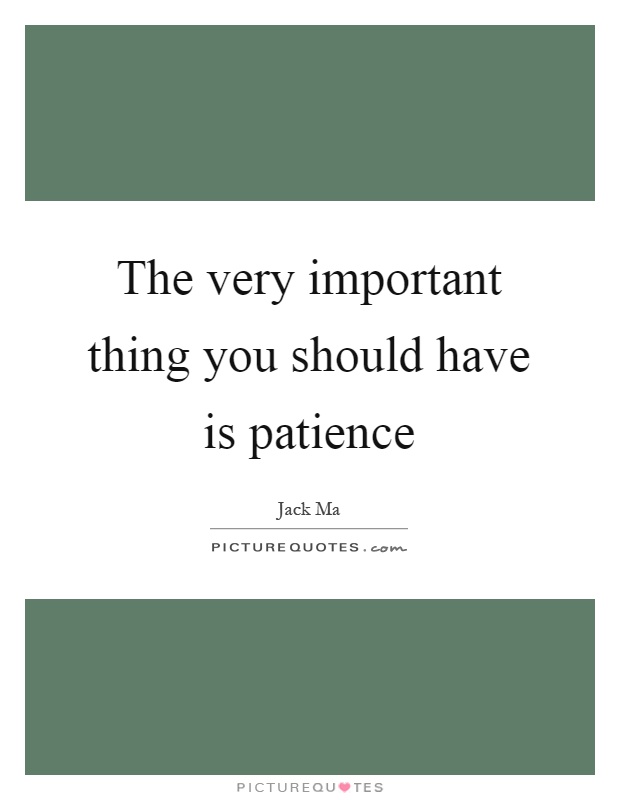 The very important thing you should have is patience Picture Quote #1
