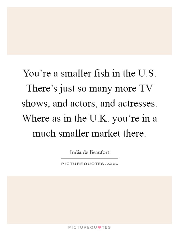 You're a smaller fish in the U.S. There's just so many more TV shows, and actors, and actresses. Where as in the U.K. you're in a much smaller market there. Picture Quote #1