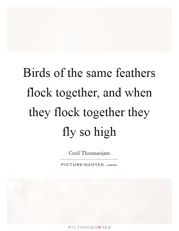 Birds Of The Same Feathers Flock Together And When They Flock