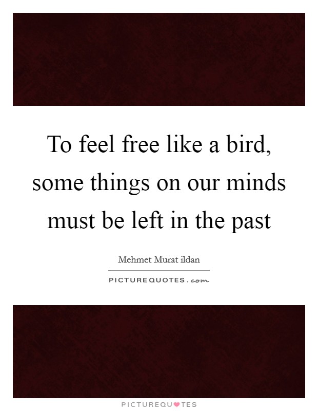 quotes about being free like a bird