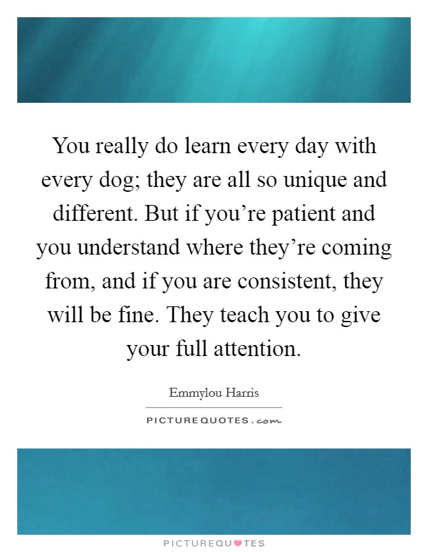You really do learn every day with every dog; they are all so unique and different. But if you're patient and you understand where they're coming from, and if you are consistent, they will be fine. They teach you to give your full attention. Picture Quote #1