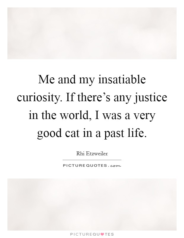Me and my insatiable curiosity. If there’s any justice in the world, I was a very good cat in a past life Picture Quote #1