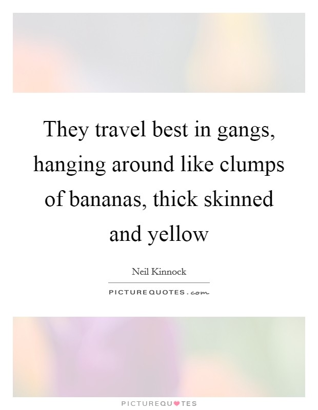 They travel best in gangs, hanging around like clumps of bananas, thick skinned and yellow Picture Quote #1