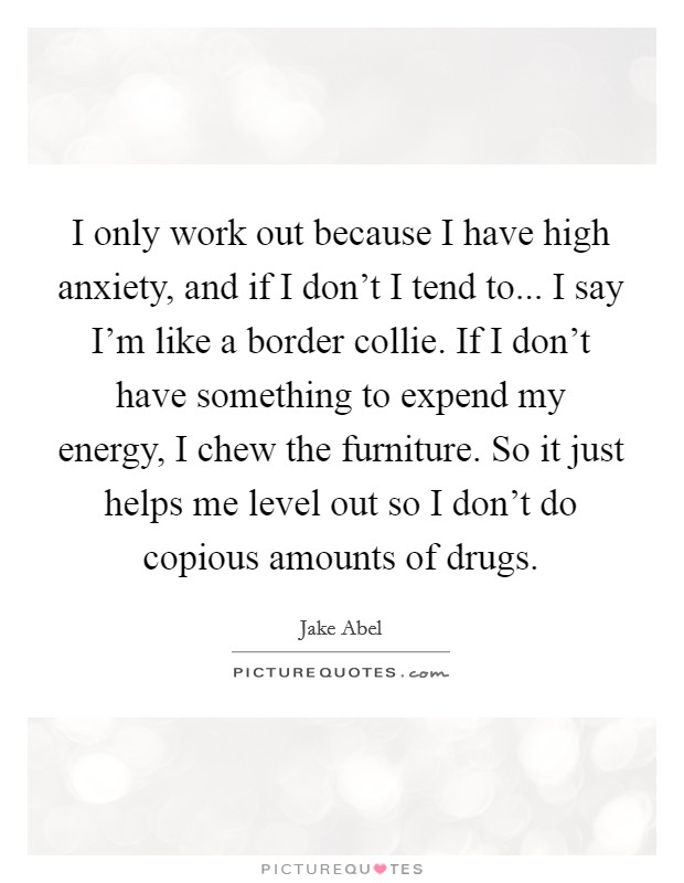 I only work out because I have high anxiety, and if I don’t I tend to... I say I’m like a border collie. If I don’t have something to expend my energy, I chew the furniture. So it just helps me level out so I don’t do copious amounts of drugs Picture Quote #1