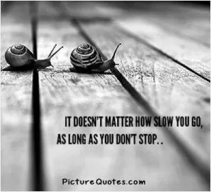 It does not matter how slow you go so long as you do not stop Picture Quote #1