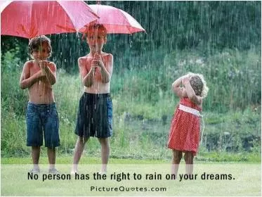 No person has the right to rain on your dreams Picture Quote #1