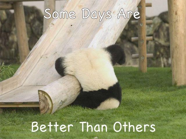 Some days are better than others Picture Quote #1