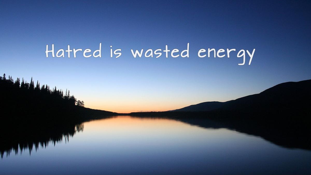 Hatred is wasted energy Picture Quote #1