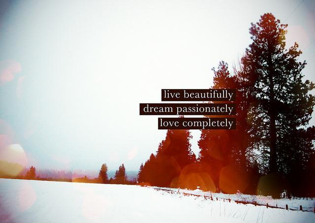 Live beautifully. Dream passionately. Love completely Picture Quote #2