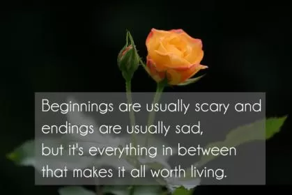 Beginnings are usually scary and endings are usually sad but its every things in between that makes it all worth living Picture Quote #1