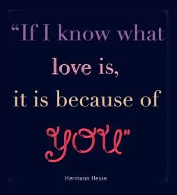 If i know what love is, it is because of you Picture Quote #1