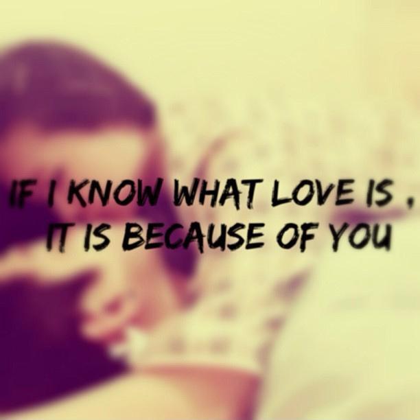 If i know what love is, it is because of you Picture Quote #2