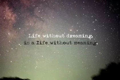 Life without dreaming is a life without meaning Picture Quote #1